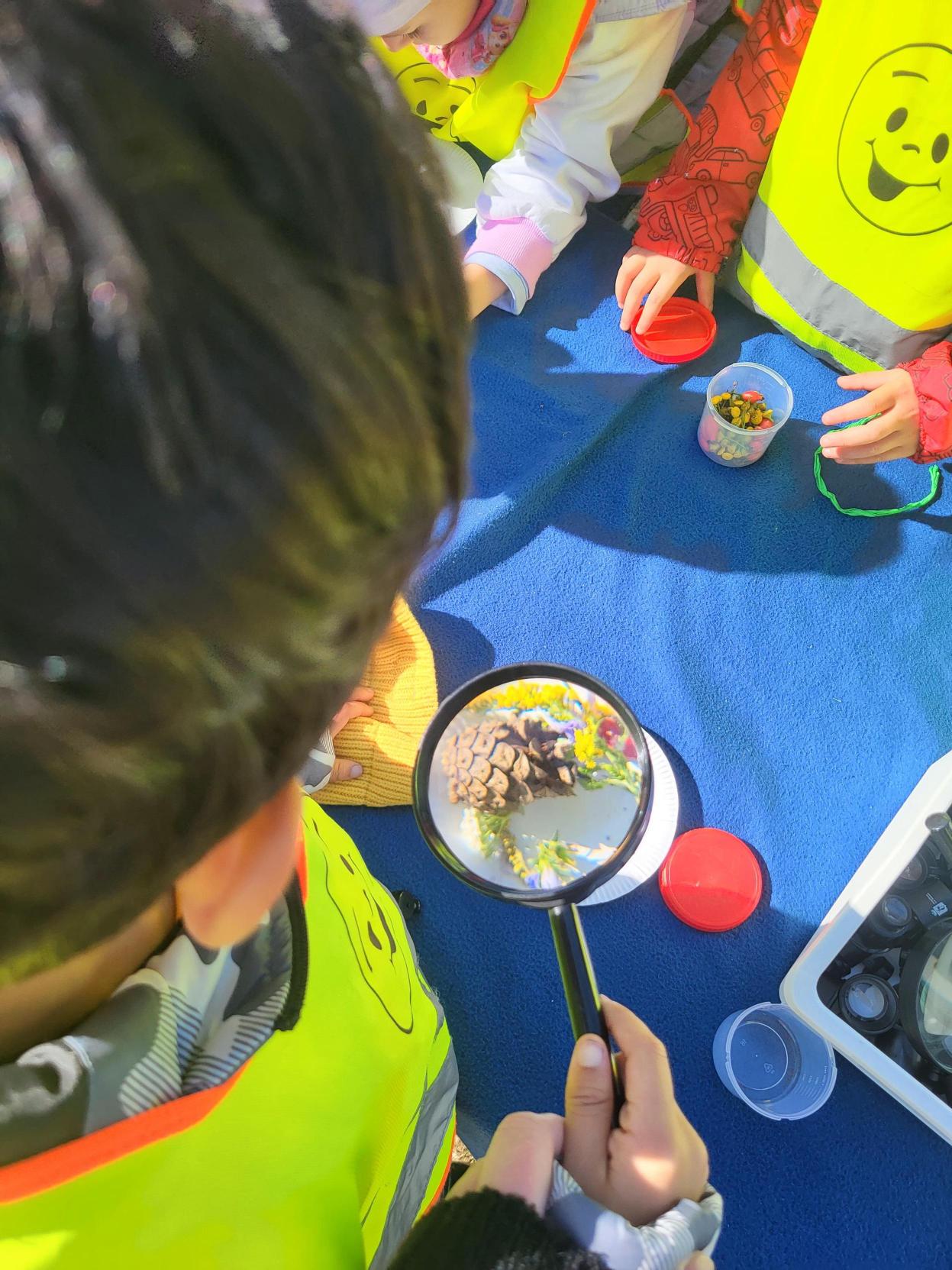 Dziecko w kamizelce odblaskowej ogląda przez lupę szyszkę i rośliny podczas zajęć terenowych na świeżym powietrzu.