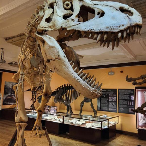 Wycieczka do Muzeum Ewolucji