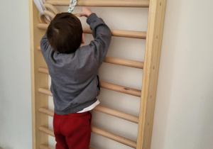 Chłopiec w szarym swetrze i czerwonych spodniach wspięty na drabinkę gimnastyczną przyczepia drewniany spinacz do linki