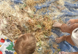 dzieci stojące na plandece pełnej makaronu spaghetti, mąki, ciecierzycy